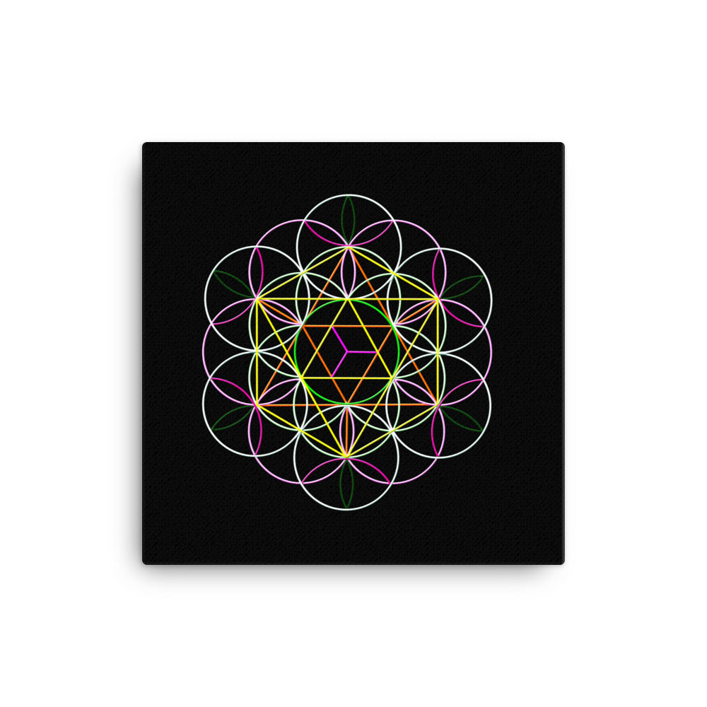 Flower Of Life Art Print