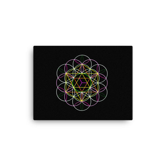 Flower Of Life Art Print