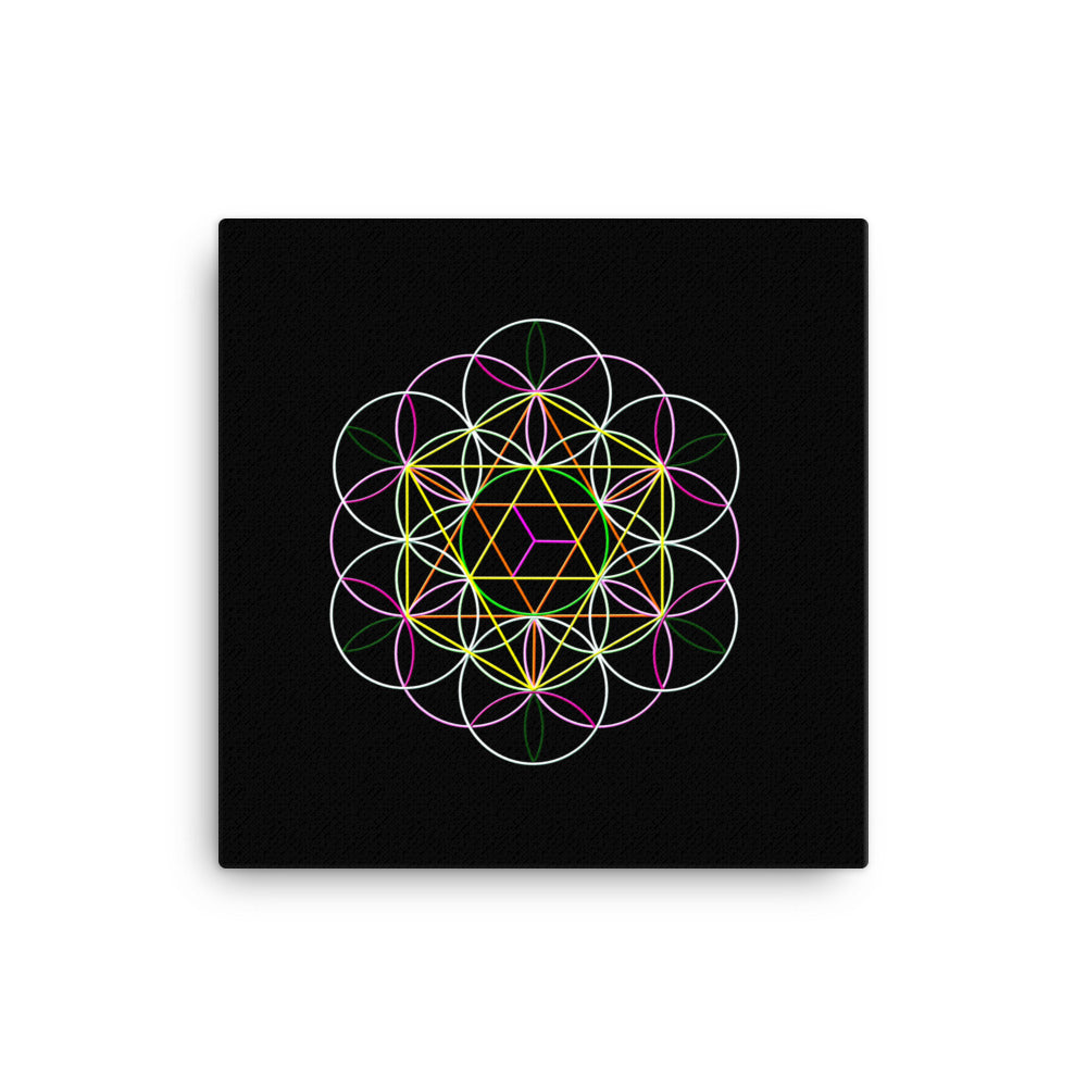 Flower Of Life Art Print