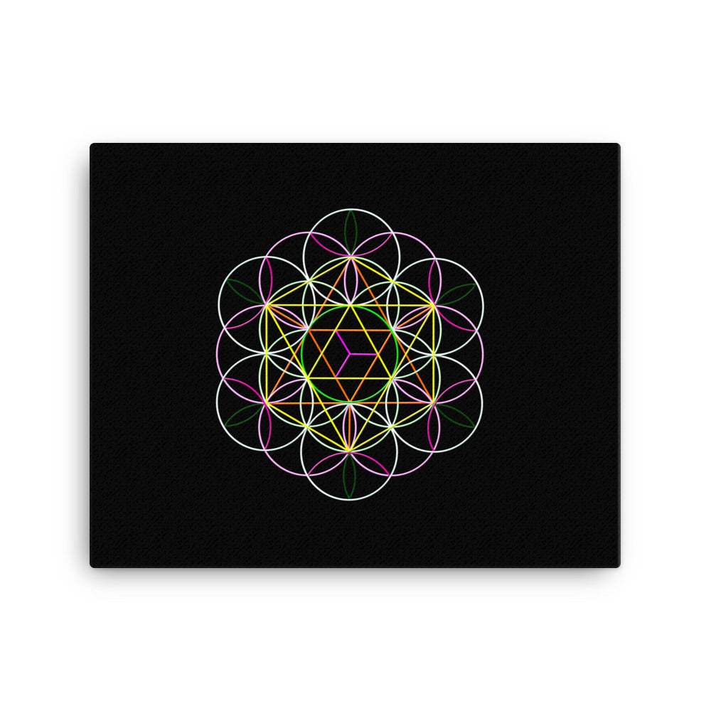 Flower Of Life Art Print