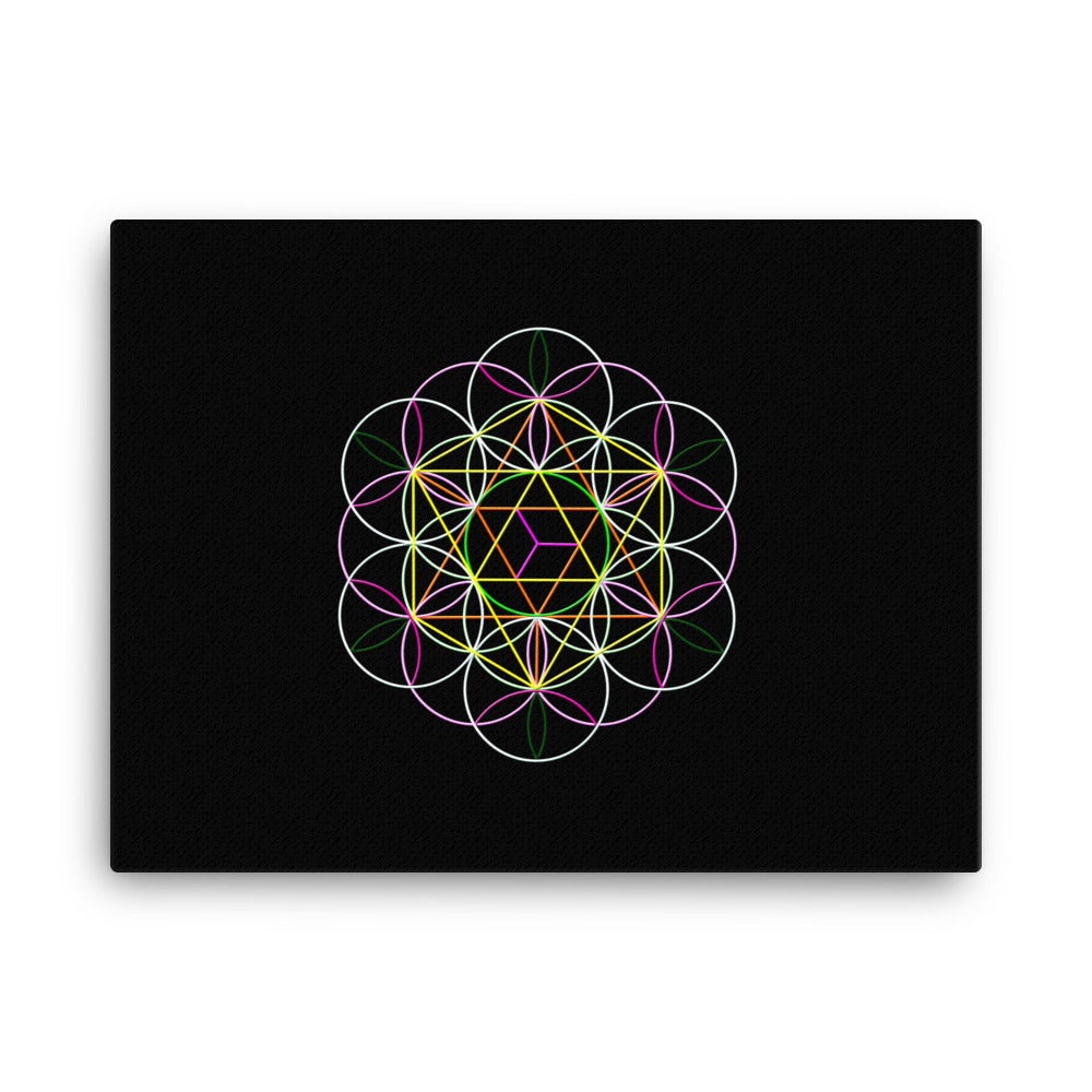 Flower Of Life Art Print