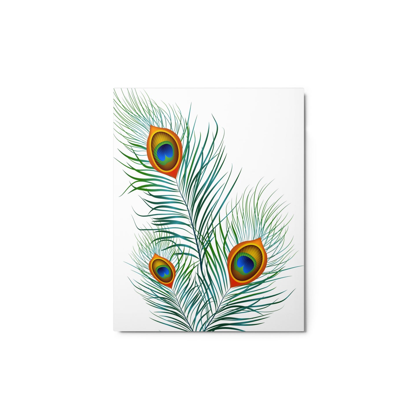 Peacock - Gloss Metal Print