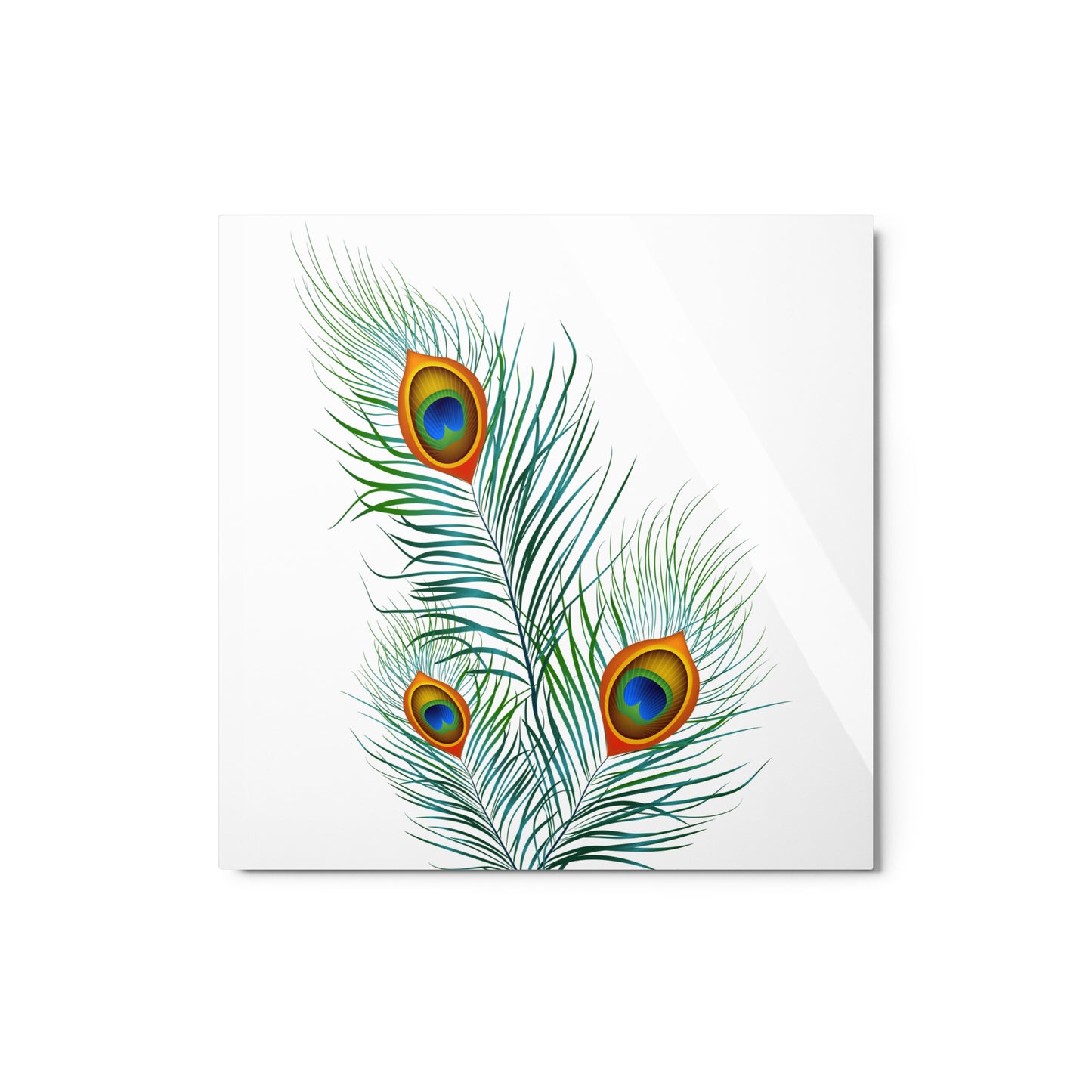 'Peacock' Gloss Metal Print