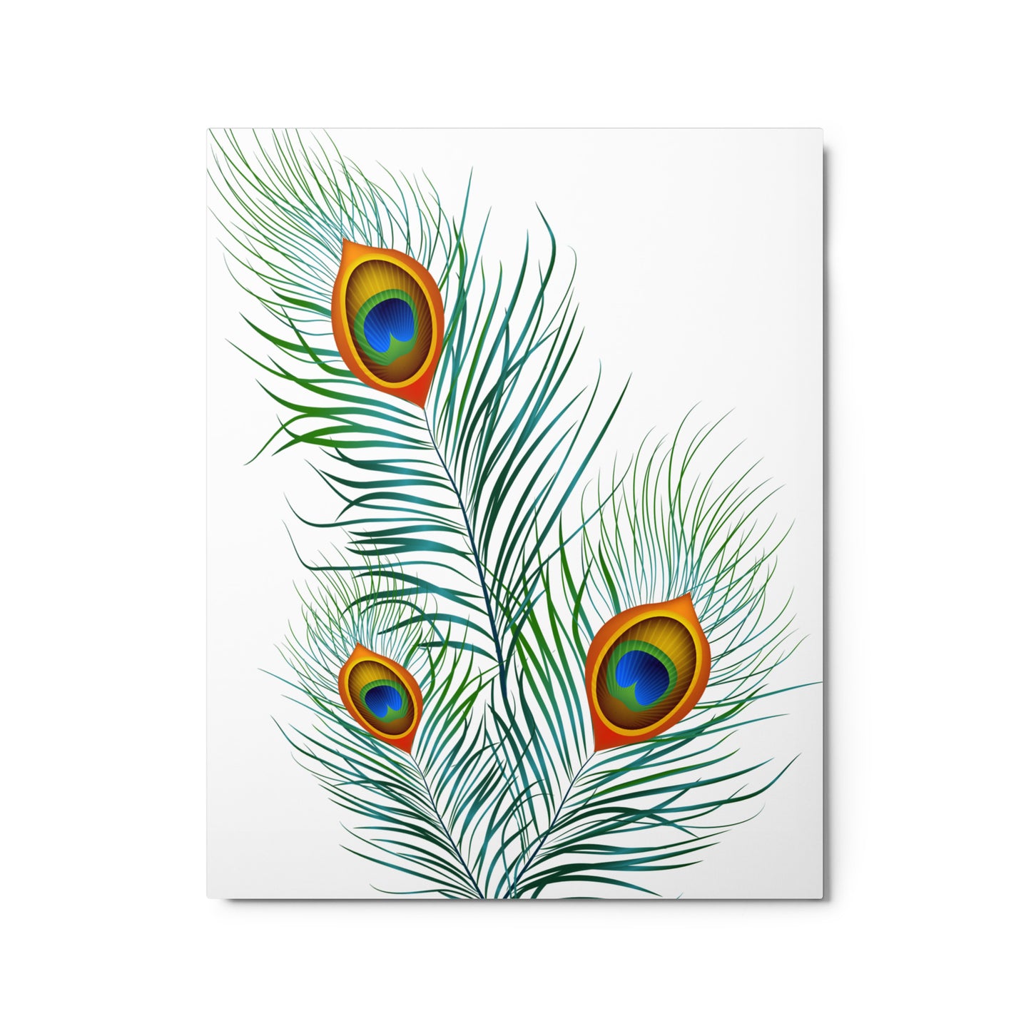 Peacock - Gloss Metal Print