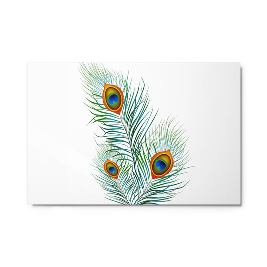 'Peacock' Gloss Metal Print