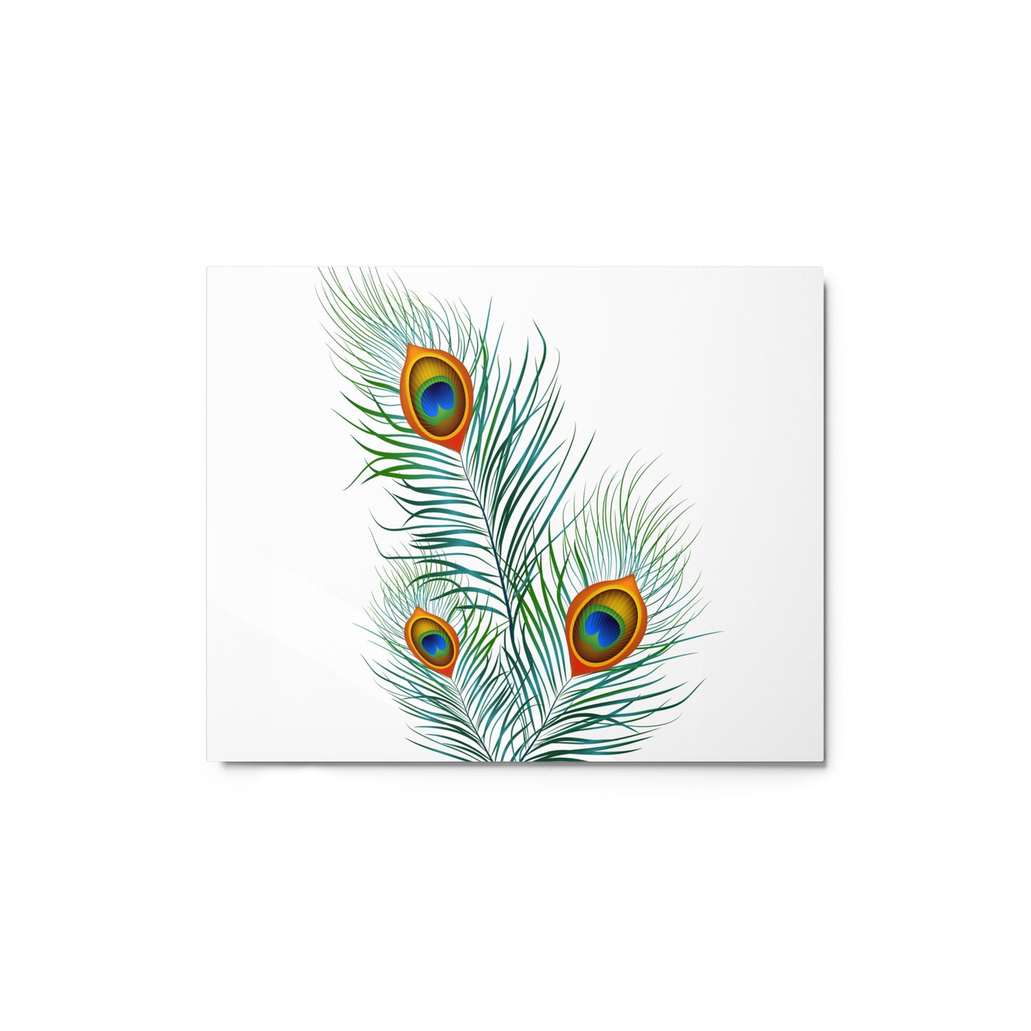 'Peacock' Gloss Metal Print