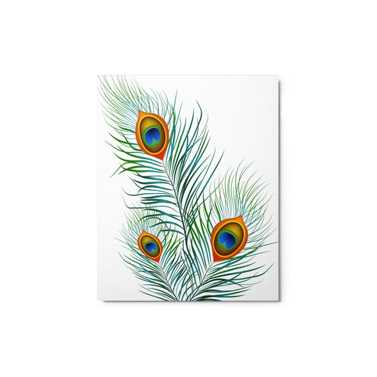 Peacock - Gloss Metal Print