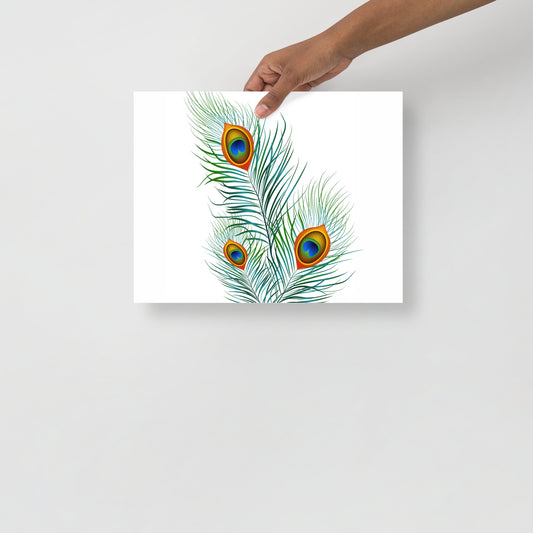 'Peacock' Premium Luster Photo Paper Poster