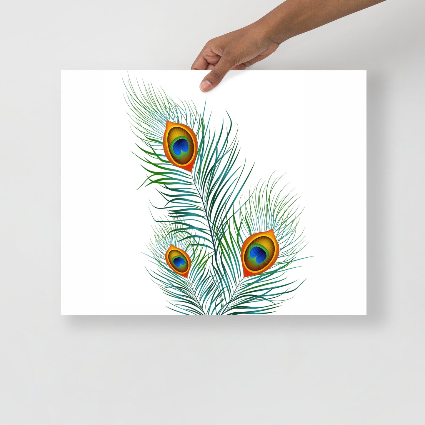 'Peacock' Premium Luster Photo Paper Poster