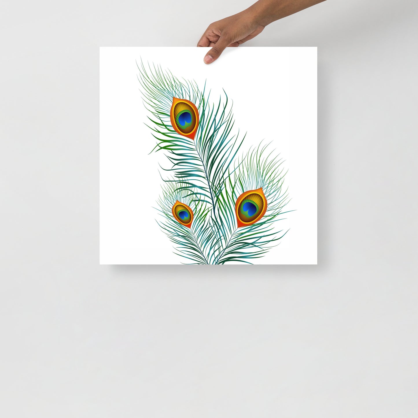 'Peacock' Premium Luster Photo Paper Poster